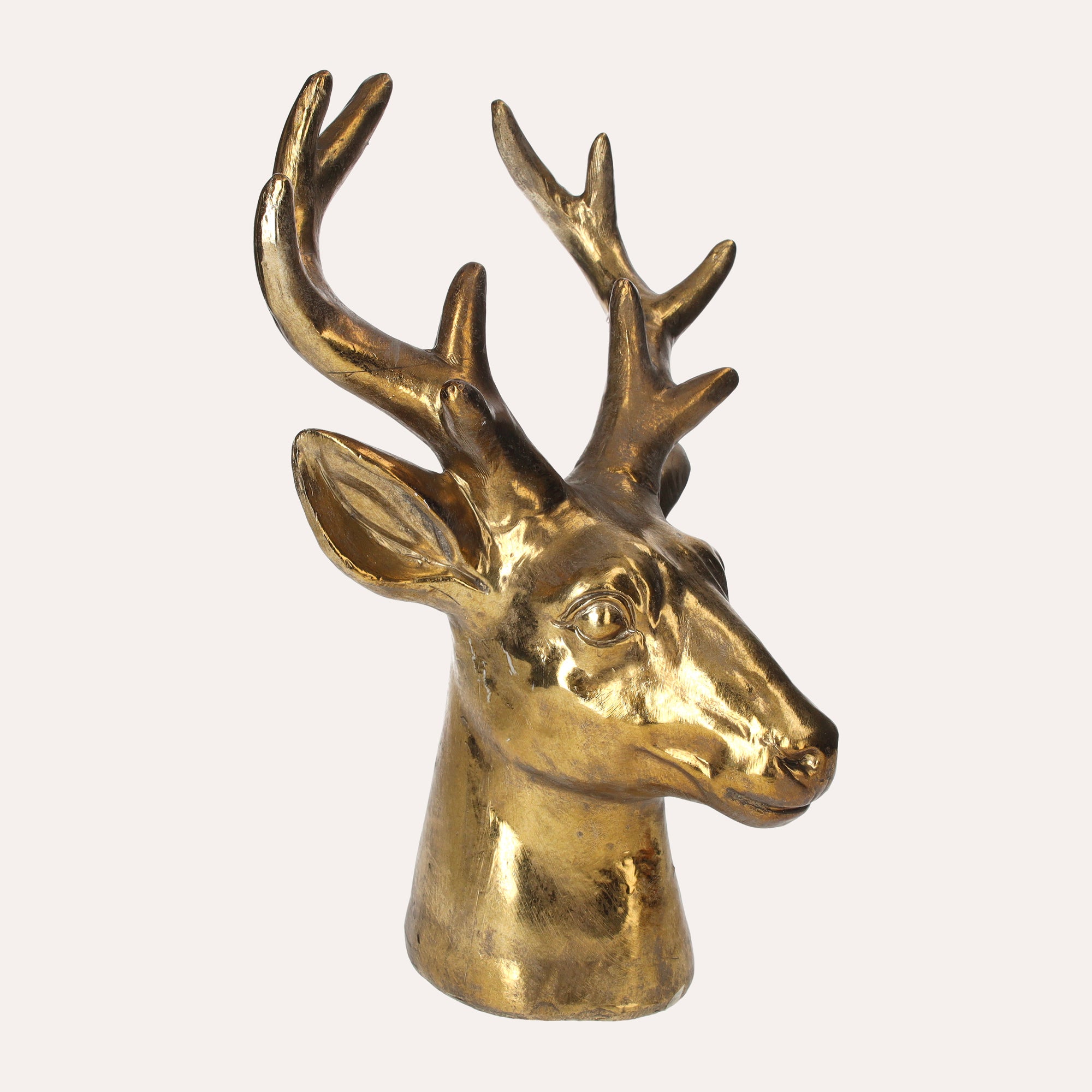 Scultura Testa Di Cervo Oro