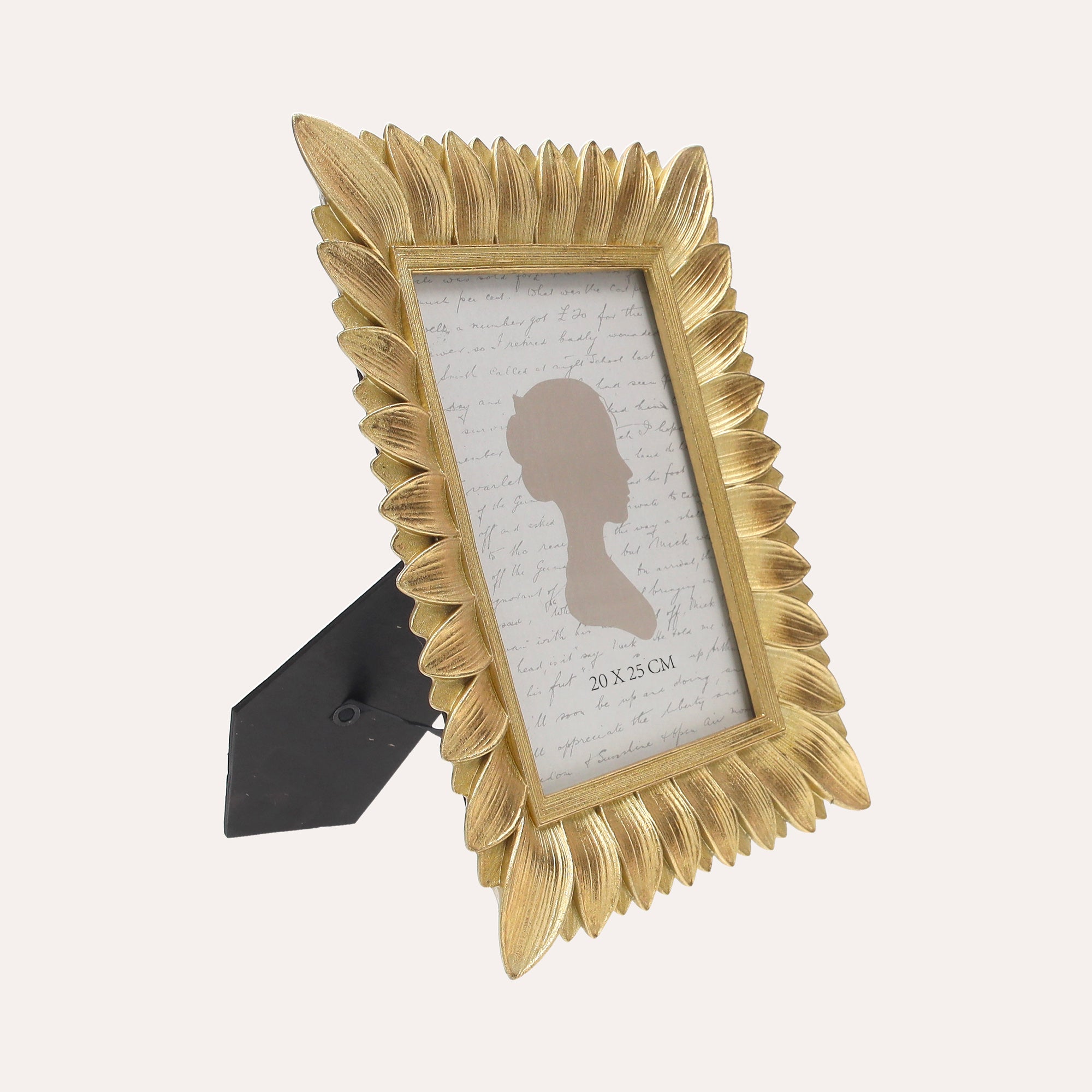 Large Photo Frame with Gold Leaf Motif (26x20 cm)