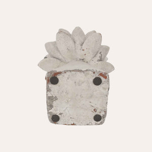 Bocciolo Decorativo Medio con Base Quadra in Resina H30x20 cm – Stile Shabby Chic