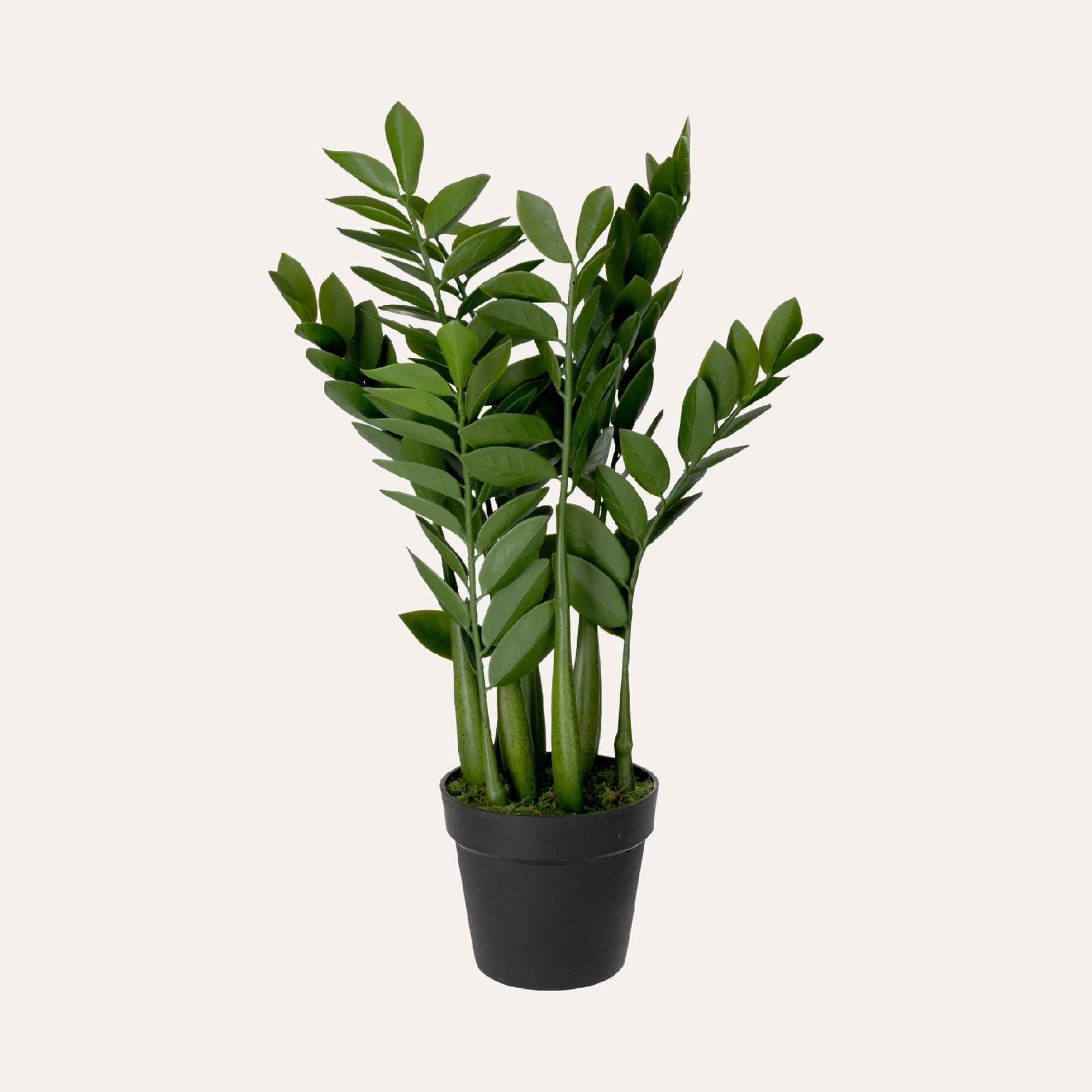 Pianta Artificiale Gemma di Zanzibar H. 34 cm