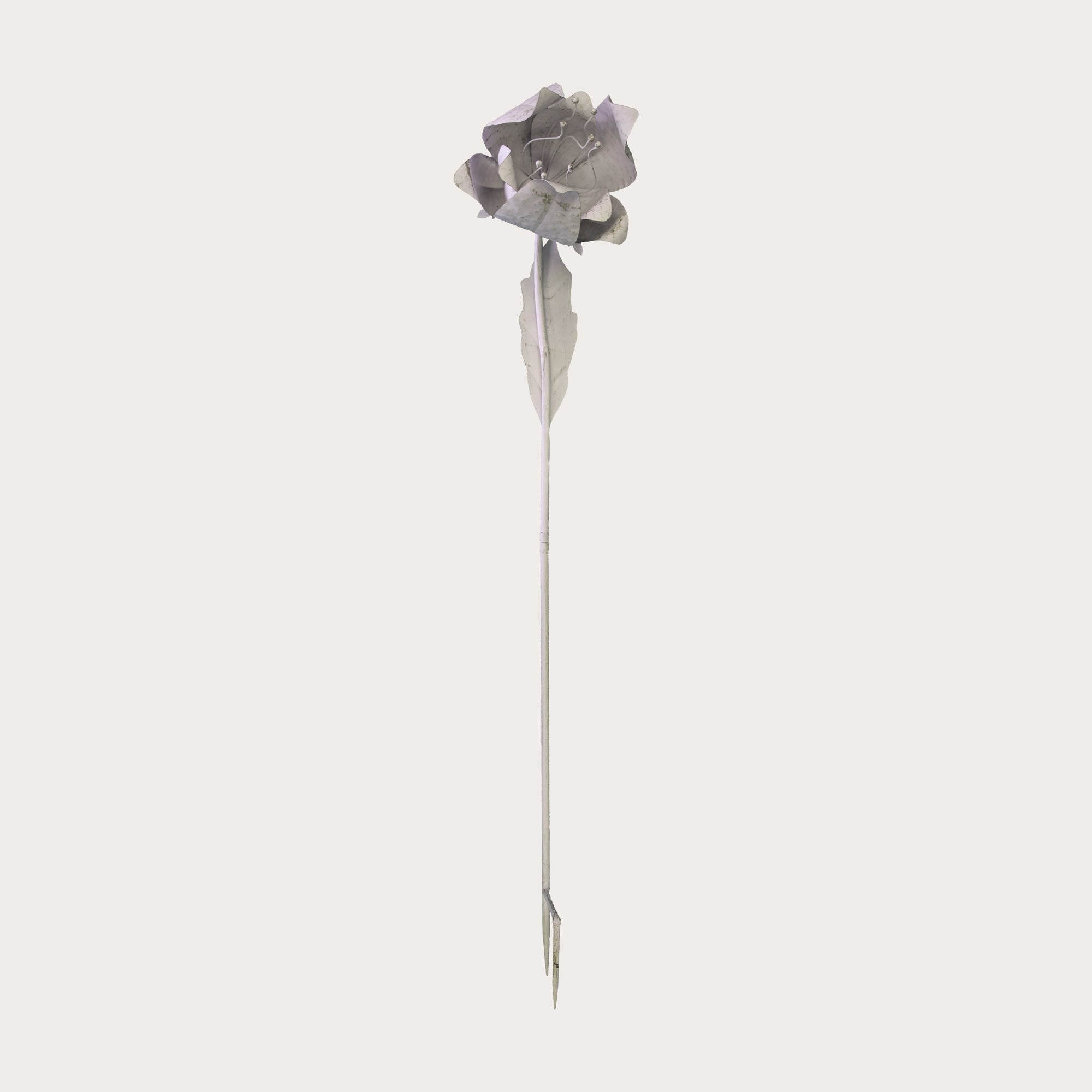 Fiore di Loto Decorativo