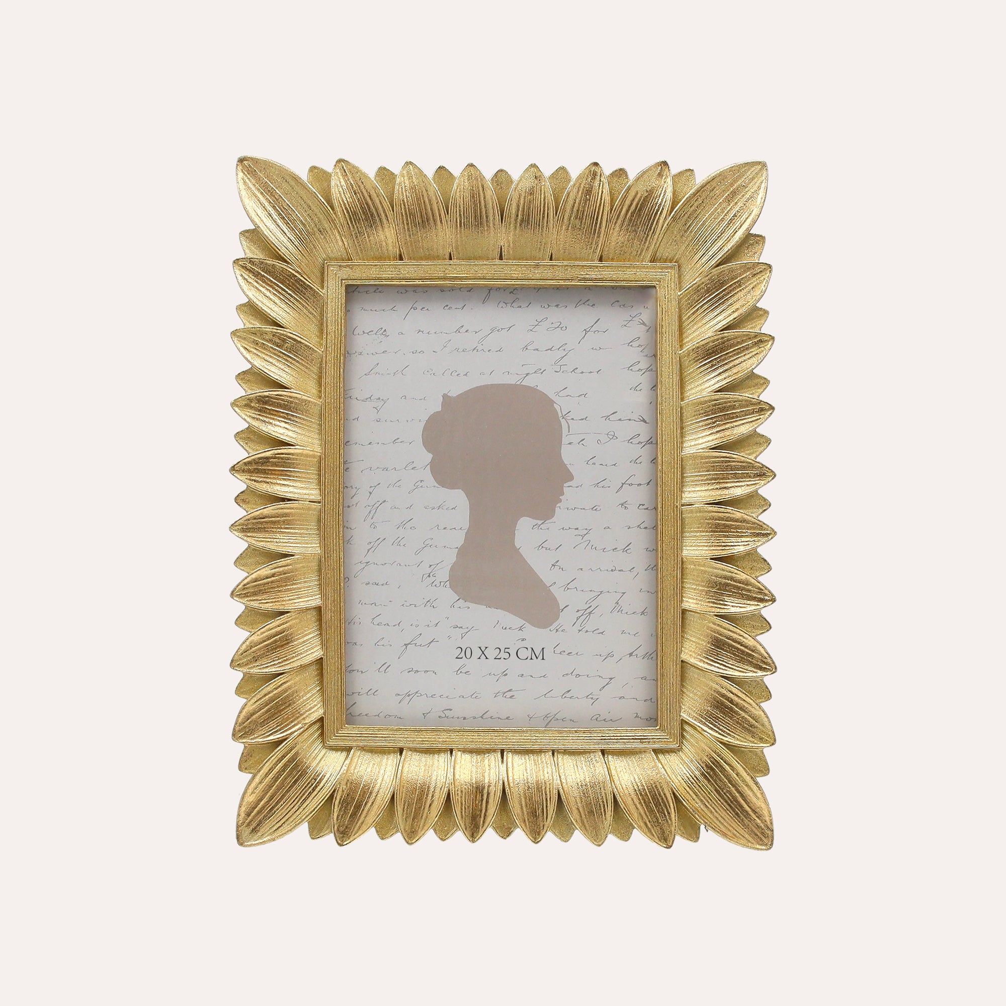 Large Photo Frame with Gold Leaf Motif (26x20 cm)