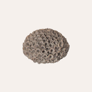 Corallo Decorativo in Resina Grigio Grande
