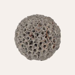 Corallo Decorativo in Resina Grigio Piccolo